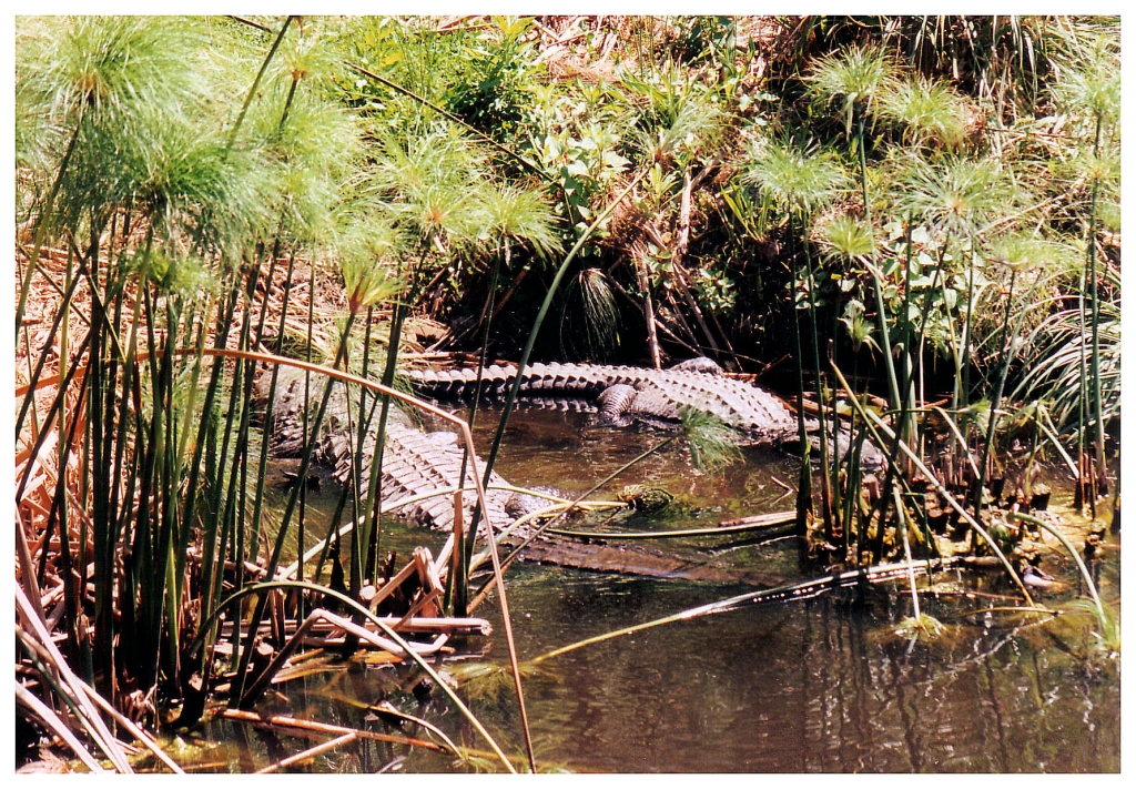 04 - Queensland (20).jpg